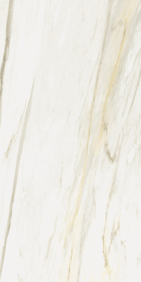 (tekdata) 610010002833_1.jpg palazzo.pro