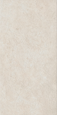 ФОССИЛ ПЬЮР 60X120 РЕТ Х2