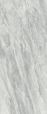 A4S6