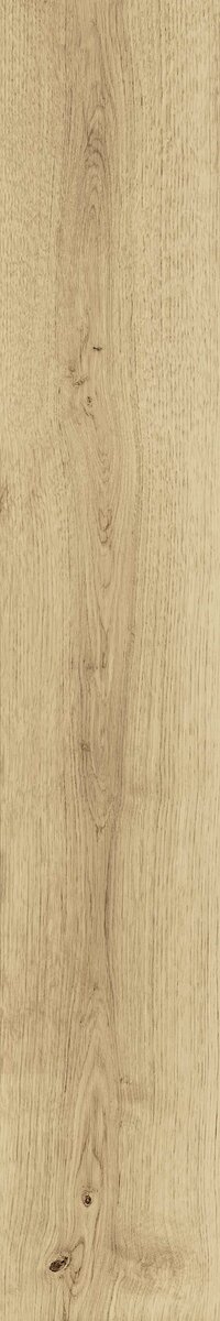 Exence Vanilla 20x120 ..