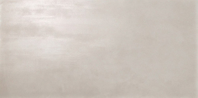Dwell Silver  (40X80 )
