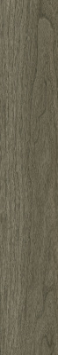 610010004069_4