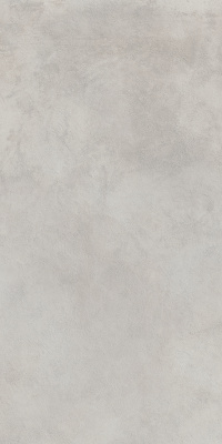 Миллениум Сильвер  Рет (60X120 Нат.) ..