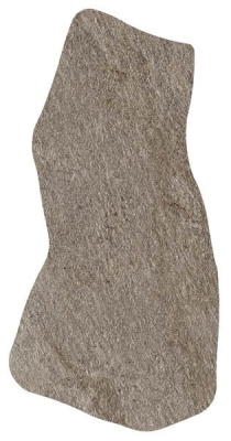 A58T