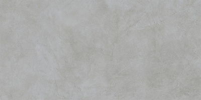 60X120 MicroCement Серый Матовый R10A Ректификат ВНЕ ТОН