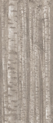 Boost Pro Grove 120x278 - 6mm   ..