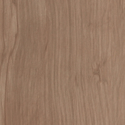 Etic Noce Bottone  (7X7 ) ..