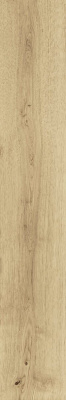 Exence Vanilla 20x120