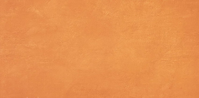 Керамич. плитка Ewall Orange 40x80 ..