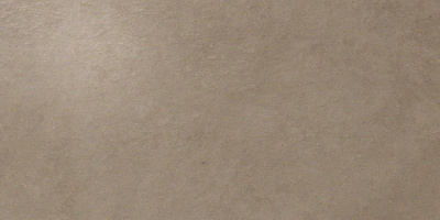 Dwell Greige  (30X60 )