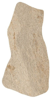 A58R