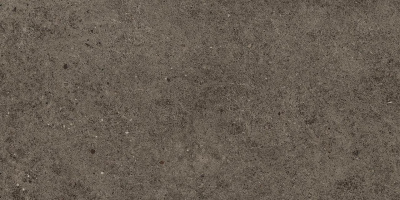 A669