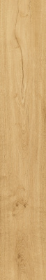 Heartwood Malt  (20X120 Мат.)