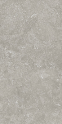 ВОЯДЖЕР ГРЭЙ 60X120 РЕТ