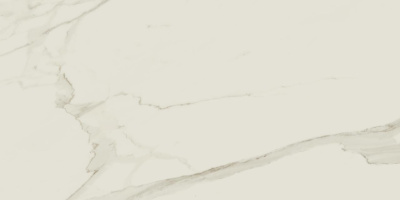 610010002183