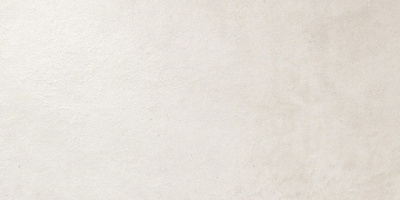 Dwell Off-White  (30X60 )