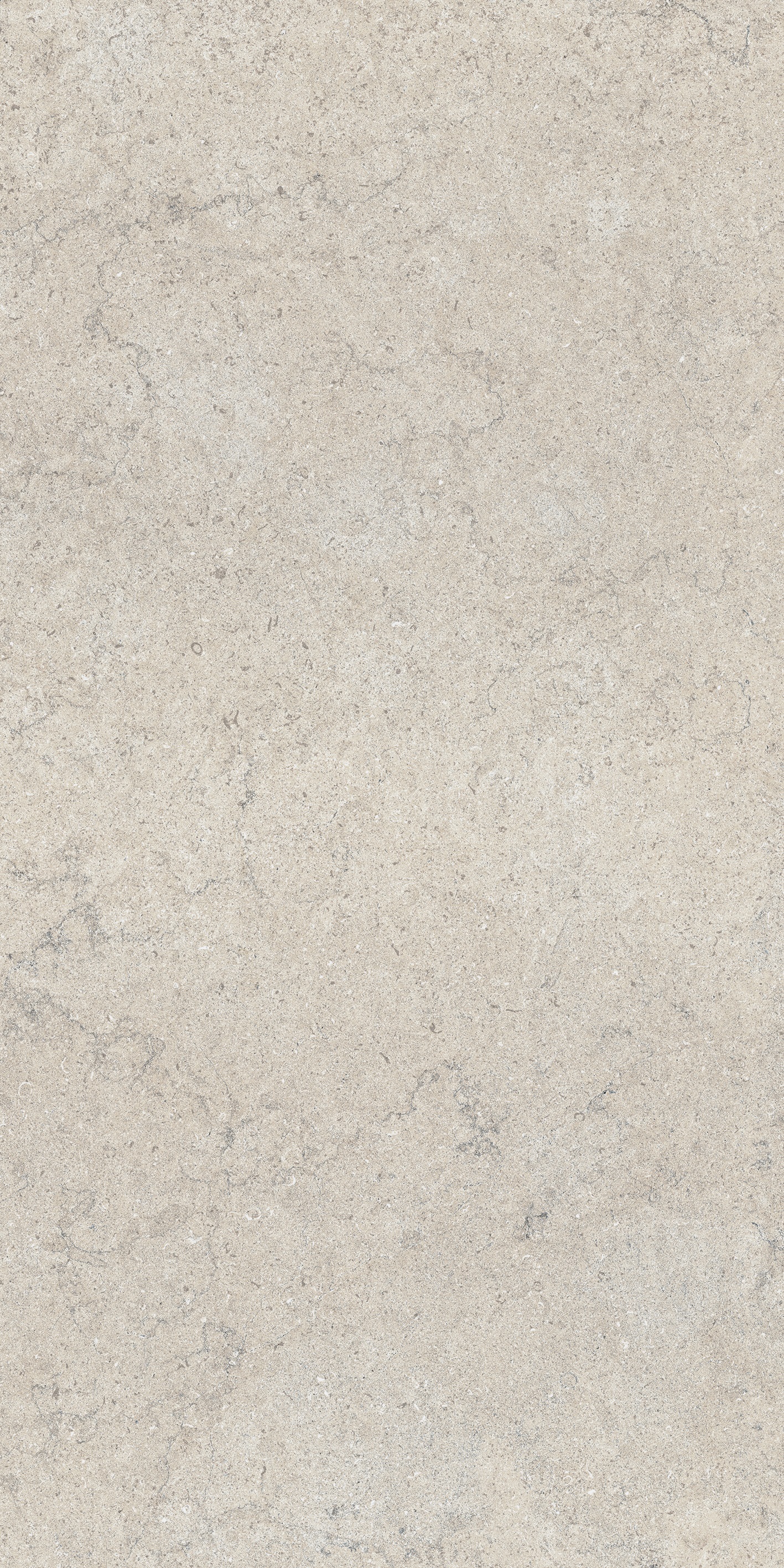 ДИСКАВЕР УАЙТ 60X120 РЕТ ..