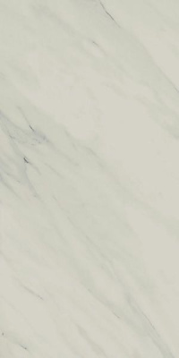 610010001849