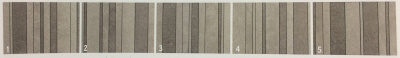 Canone Inverso 3 (47x147)