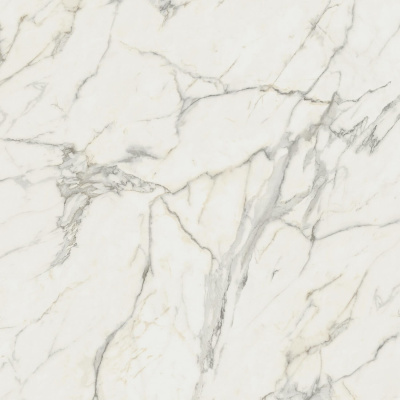Marvel Calacatta Extra 120x120