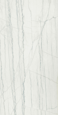 ШАР.ЭДВ.ПЛА.УАЙТ 60X120 ПАТ ..