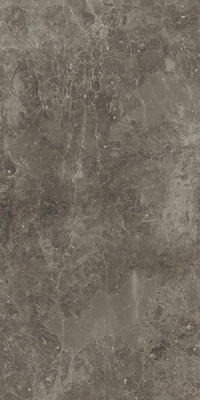 Рум Стоун грэй  Пат (60X120 Пат.)