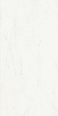 Шарм Делюкс Бьянко Микеланджело  Cer (60X120 Пат.) ..