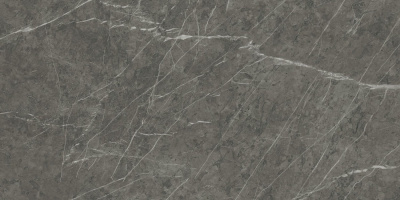 Marvel Grey Stone 60x120 Lapp.